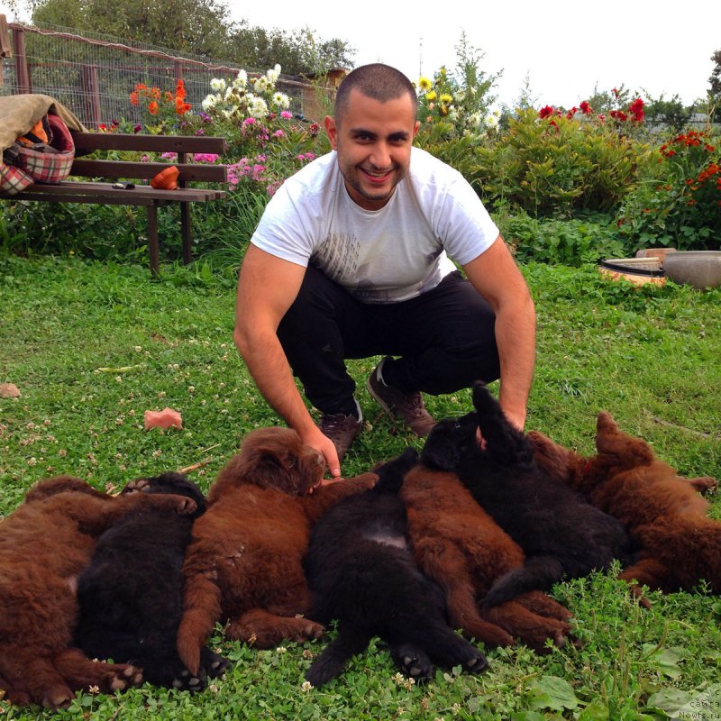 Фото: Vladimir Hachatryan (Владимир Хачатрян), Щенки Артура и Камелии