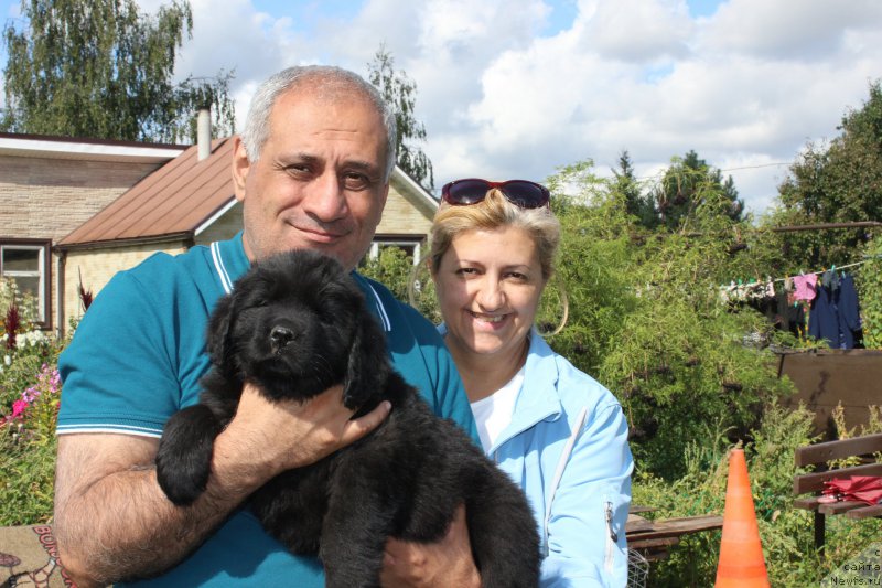 Фотография № 162214