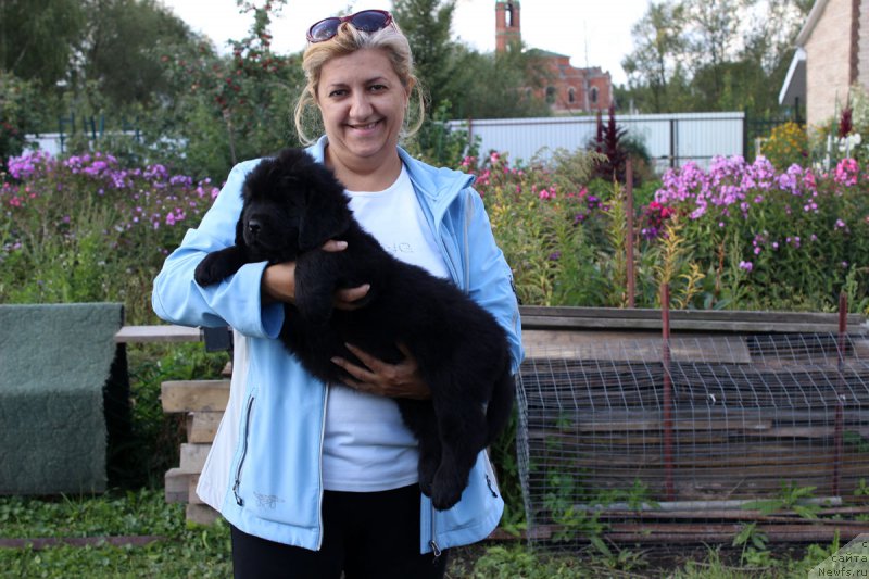 Фотография № 162215