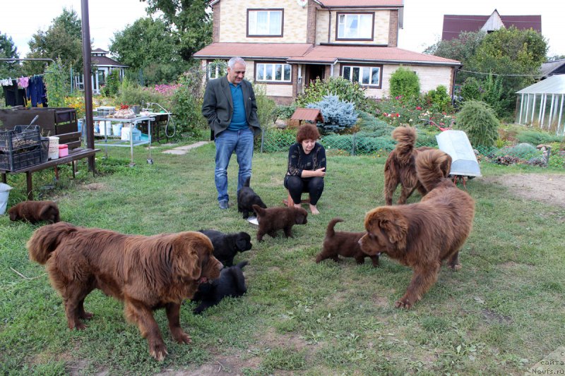 Фотография № 162218