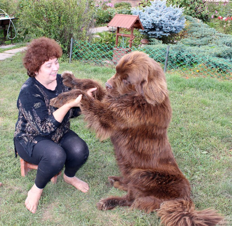 Фотография № 162219