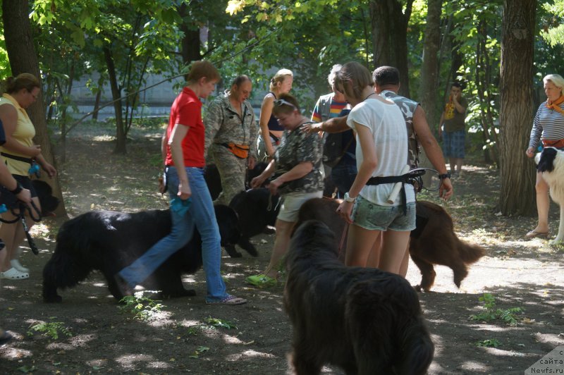 Фотография № 162248