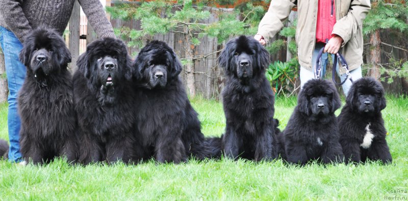 Фотография № 162251