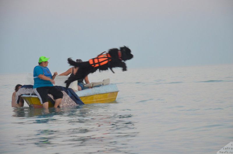 Фотография № 162252