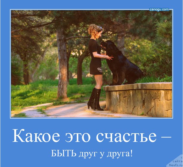 Фото: ньюфаундленд Zagadka Dominika Kara Deniz (Загадка Доминика Кара Дениз), Marina Demidova (Марина Демидова)