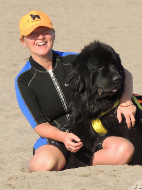 Фото: ньюфаундленд Bi Perfekt Arabella (Би Перфект Арабелла), Irina Pavlova (Ирина Павлова)