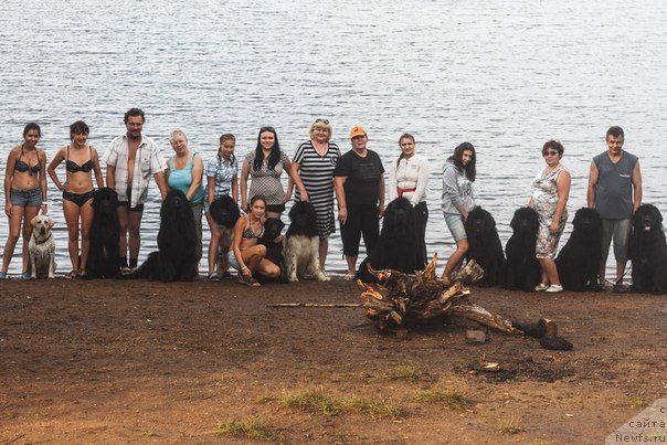 Фото: Иванова Ольга и Ларс, Заборова Елена, Заборова Вика и Кипер Соул Ноу Даут Бест, Кипер Соул Нью Стар, Акватория Келвин Оушен Дрим, Габова Ирина, Сумина Эльвира, Солдатенко Виктория и Акватория Келвин Фиона, Милорд, Юпитер Царь Богов от Сибирского Медведя, Тимофеев Владимир и Акватория Келвин Урсула, Юнг