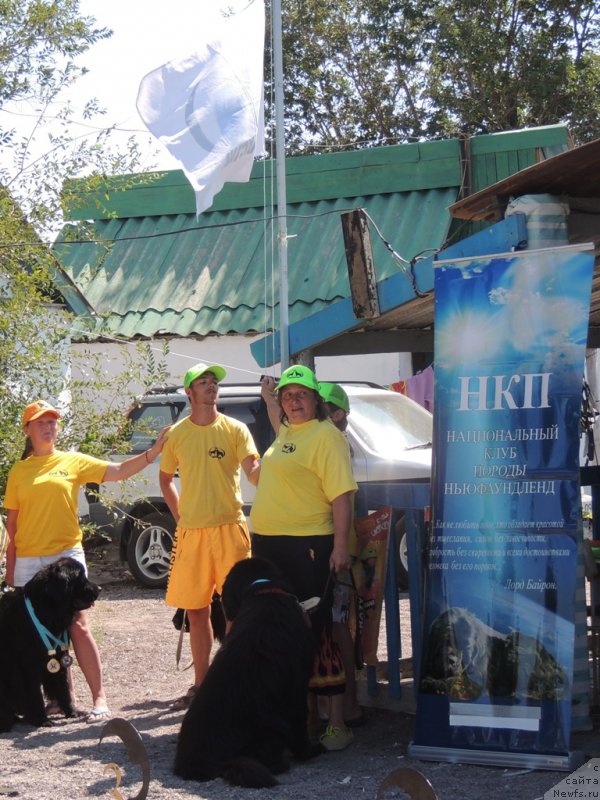 Фото: Irina Pavlova (Ирина Павлова), ньюфаундленд Bi Perfekt Arabella (Би Перфект Арабелла), Aleksandr Fayzulin (Александр Файзулин), Liliana Rahmatova (Лилиана Рахматова), ньюфаундленд Matvey s Berega Dona (Матвей с Берега Дона)