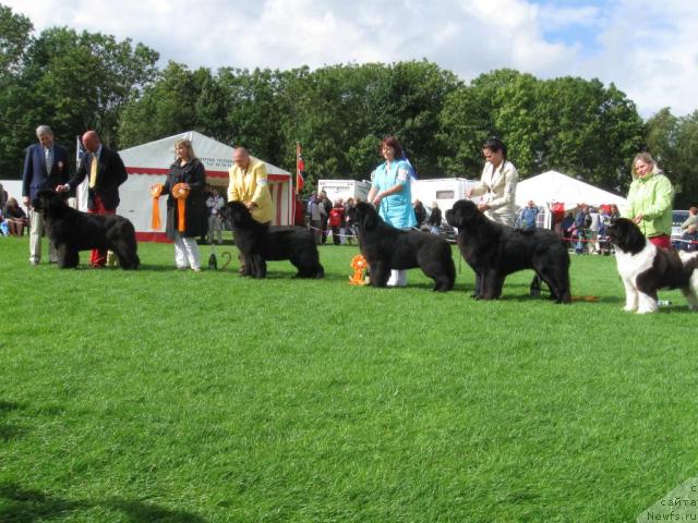 Фотография № 16234