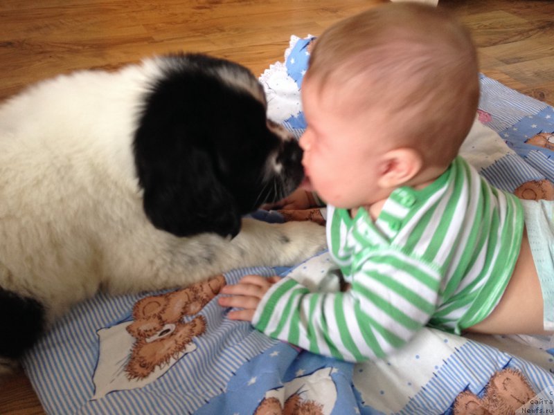 Фото: Ol'ga Gavrilyuk (Ольга Гаврилюк)