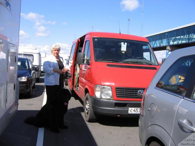 Фотография № 16237