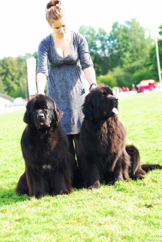 Фотография № 162372