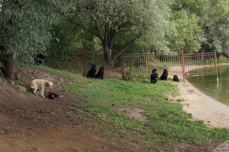 Фотография № 162375