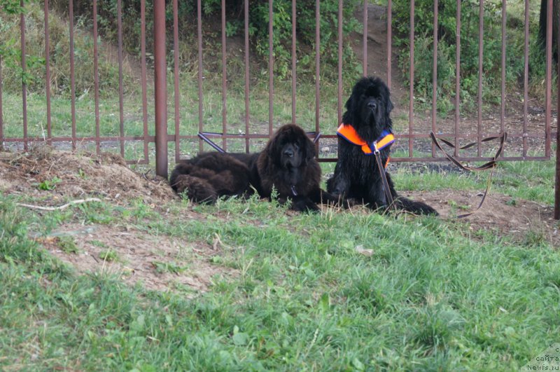 Фотография № 162383