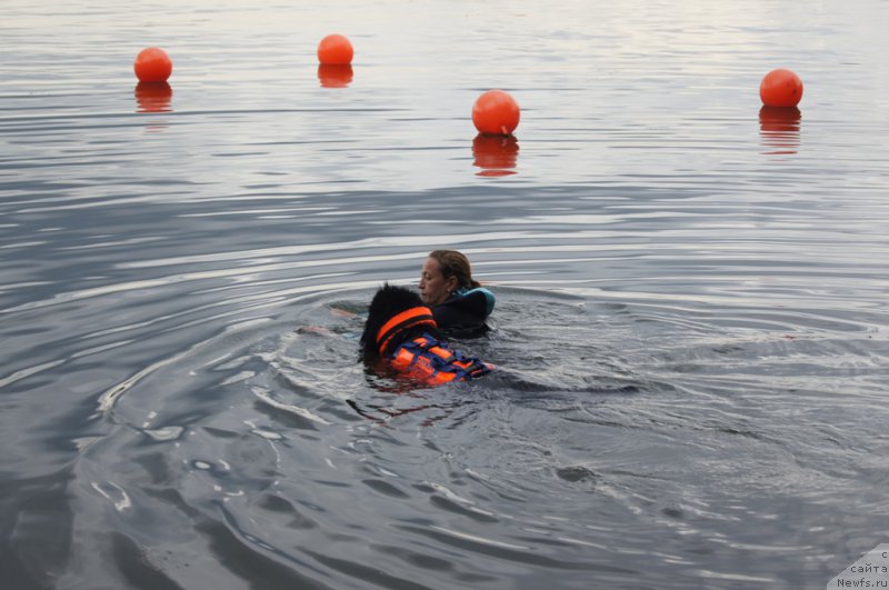 Фотография № 162384