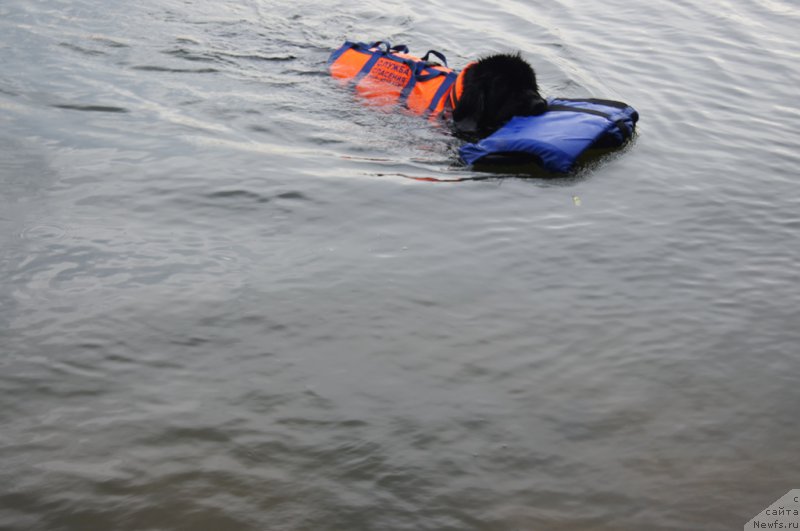 Фотография № 162387