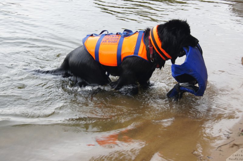 Фотография № 162388