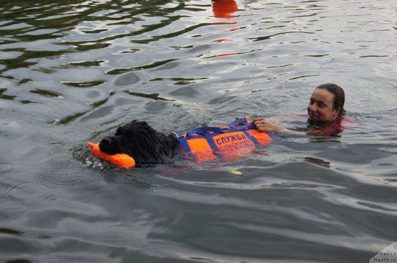 Фотография № 162389