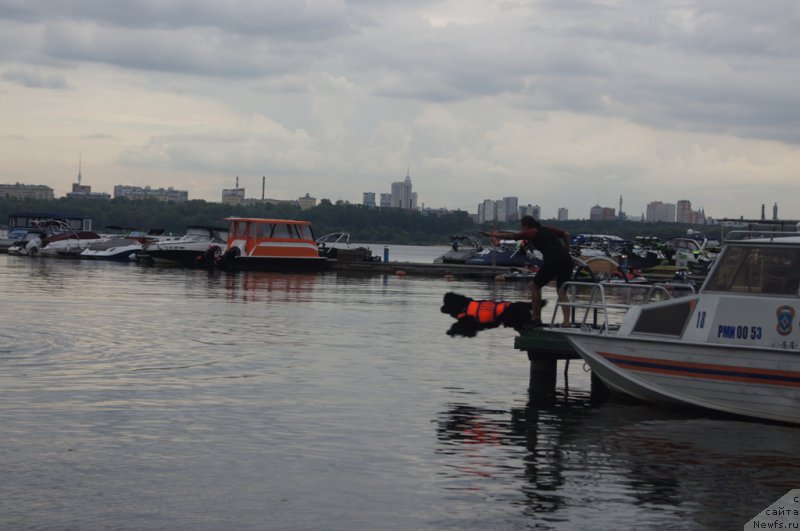 Фотография № 162391