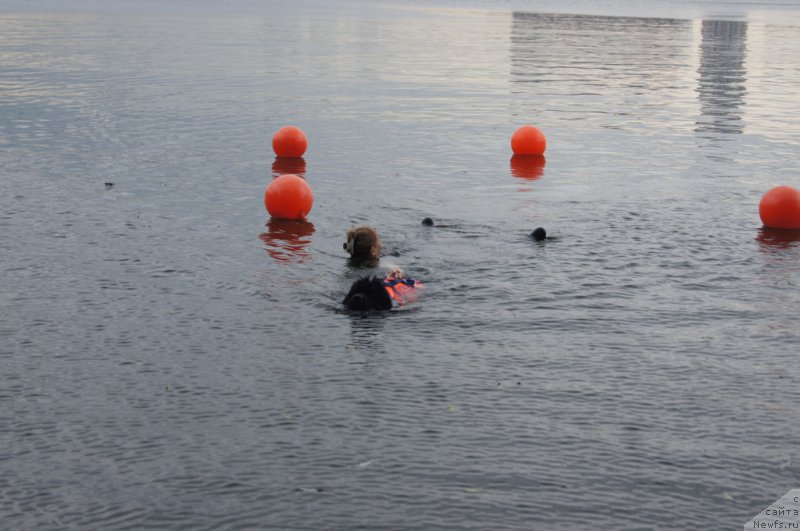 Фотография № 162393