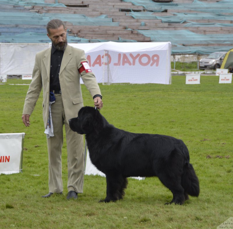 Фотография № 162394