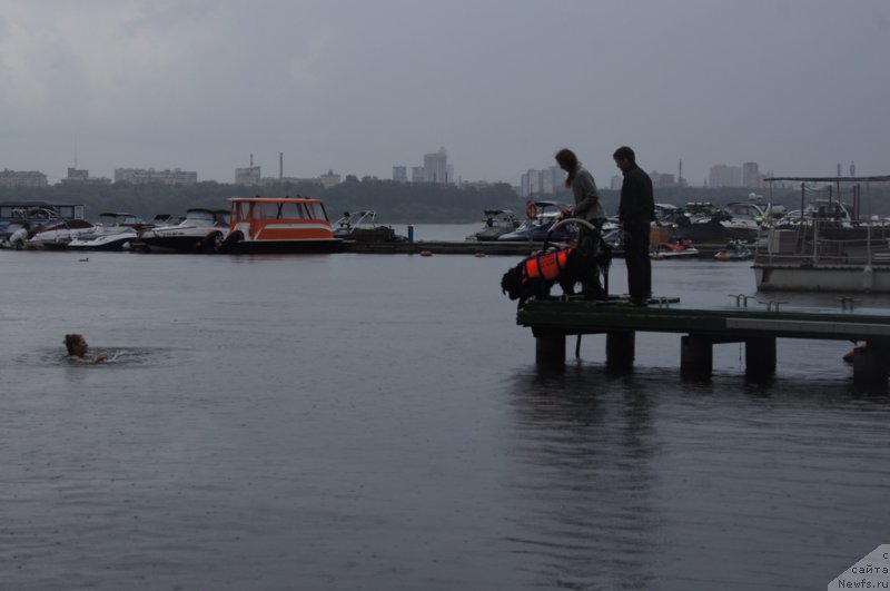 Фотография № 162395