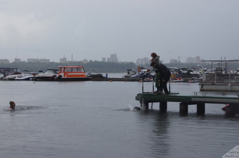 Фотография № 162396