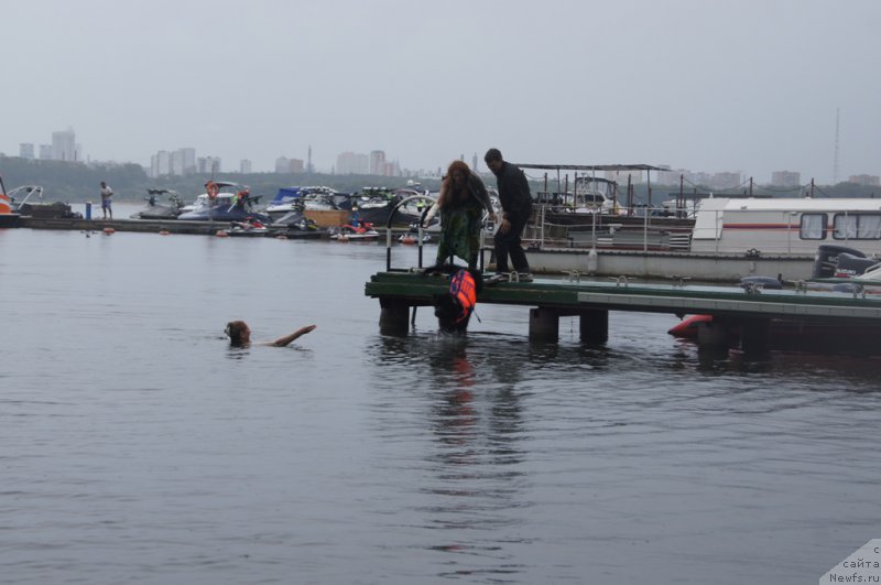 Фотография № 162400