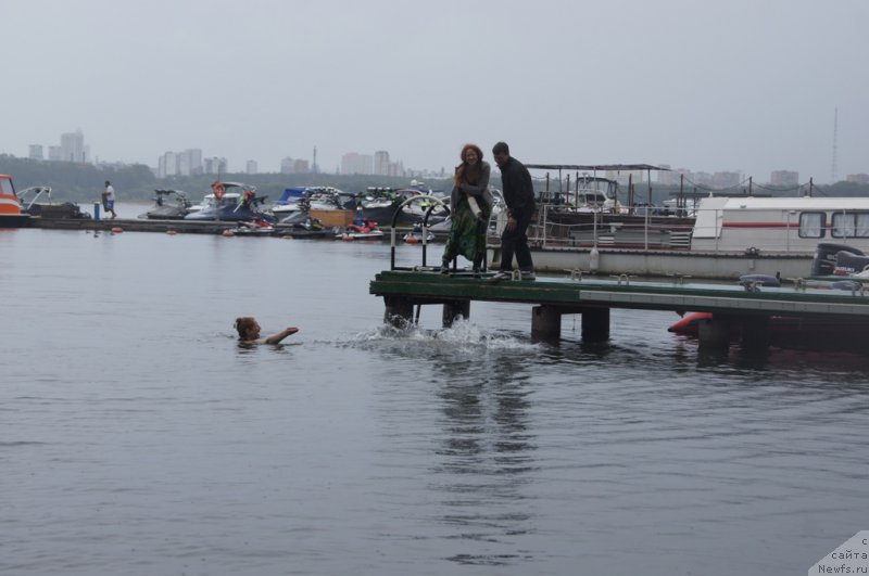 Фотография № 162401