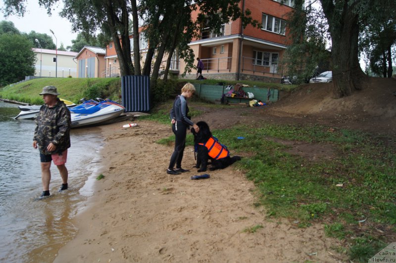 Фотография № 162402