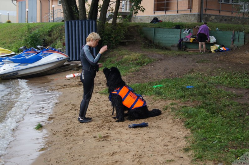 Фото: Larisa Kutina (Лариса Кутина), ньюфаундленд Belkonder-Club Ugli-Boogli (Белкондер-Клаб Угли-Бугли)