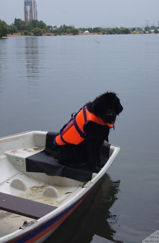 Фотография № 162405