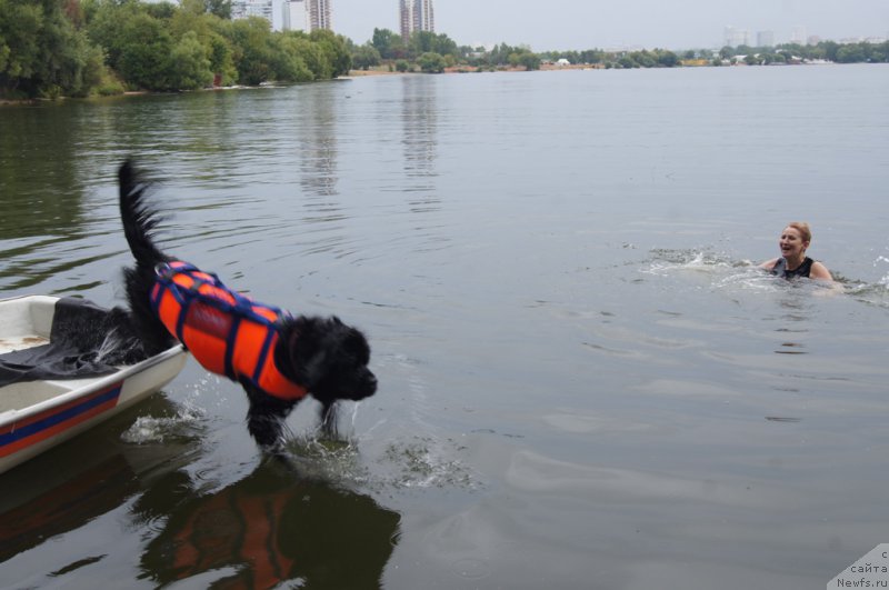 Фотография № 162408