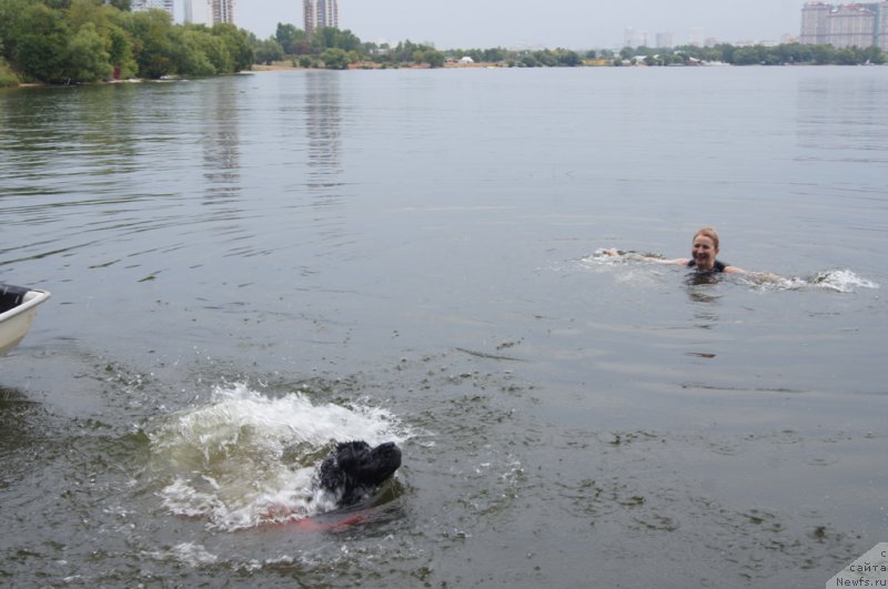 Фото: Ol'ga Muzyichuk (Ольга Музычук), ньюфаундленд Sent Djons Jozayya Valeri (Сент Джонс Жозайя Валери)