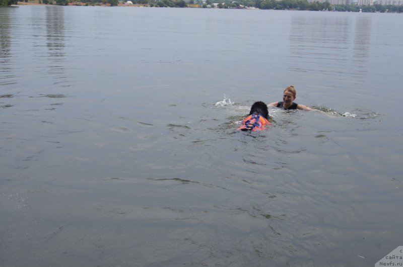 Фотография № 162412