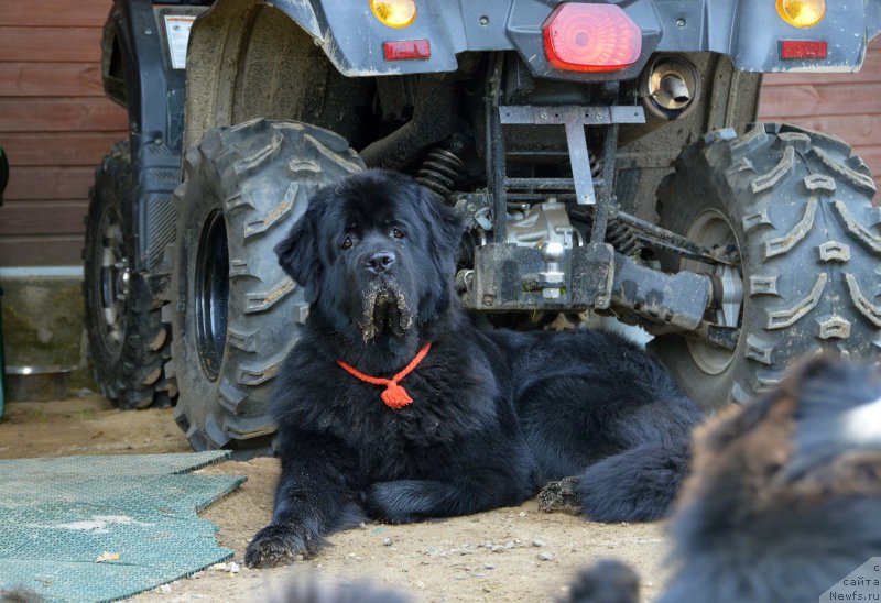 Фотография № 162413