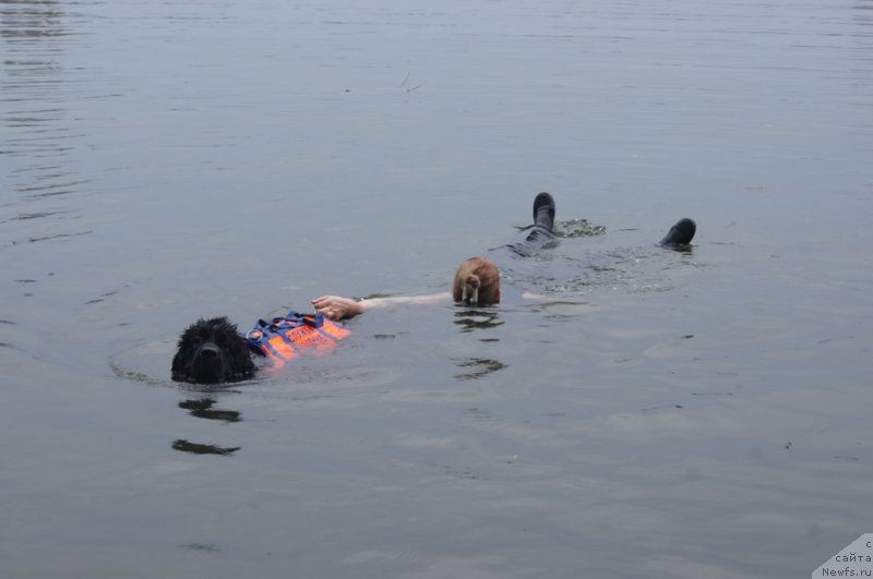 Фотография № 162414