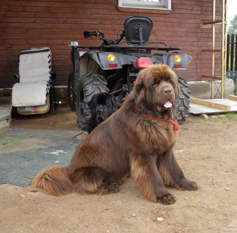 Фотография № 162417