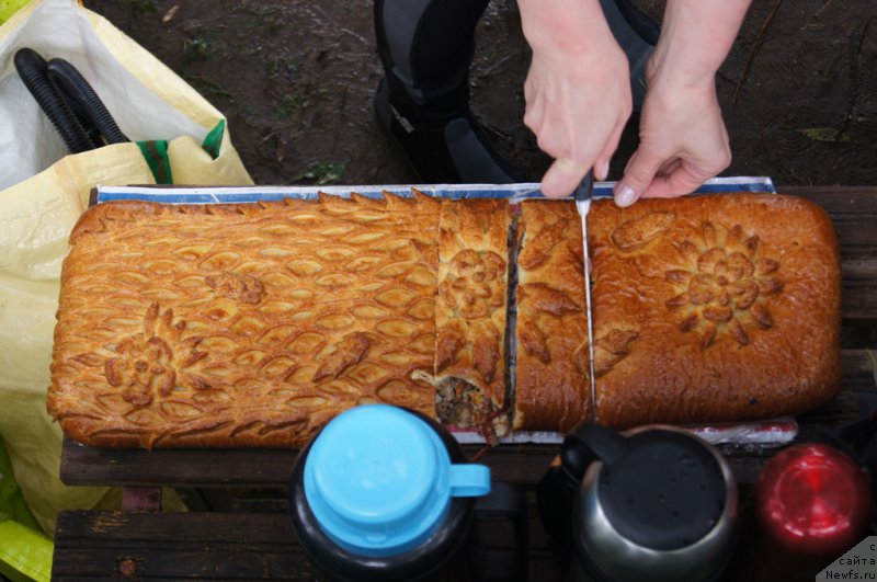 Фотография № 162419