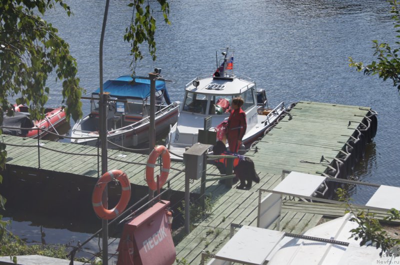 Фотография № 162434