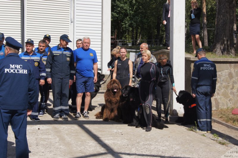 Фотография № 162436