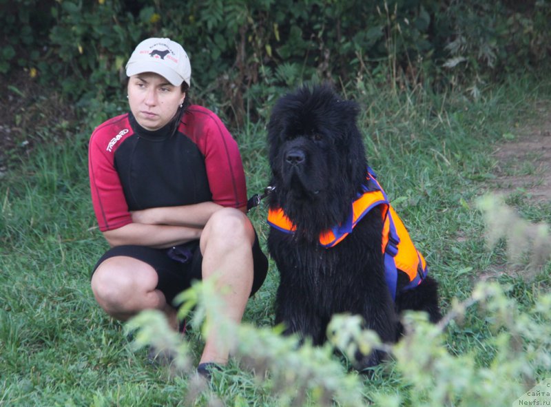 Фотография № 162440