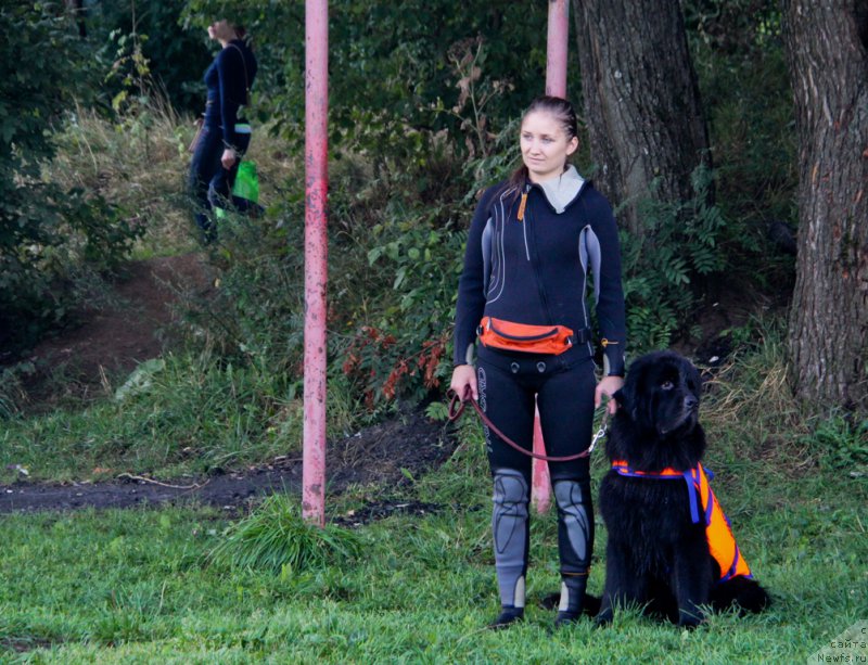 Фото: Irina Skladnova (Ирина Складнова), ньюфаундленд Chernyj Chank s Berega Dona (Черный Чанк с Берега Дона)
