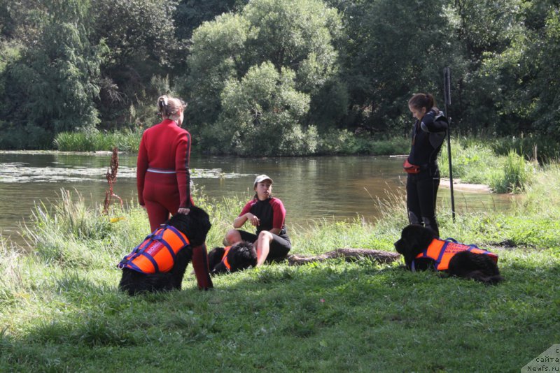 Фото: Ol'ga Muzyichuk (Ольга Музычук), ньюфаундленд Black Blues iz Volotova, Aleksandra Fetisova (Александра Фетисова), ньюфаундленд Beguschaya po Volnam Foget Mi Not (Бегущая по Волнам Фогет Ми Нот), Irina Skladnova (Ирина Складнова), ньюфаундленд Chernyj Chank s Berega Dona (Черный Чанк с Берега Дона)