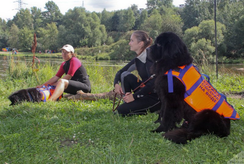 Фотография № 162443