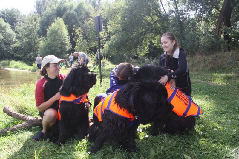 Фотография № 162445