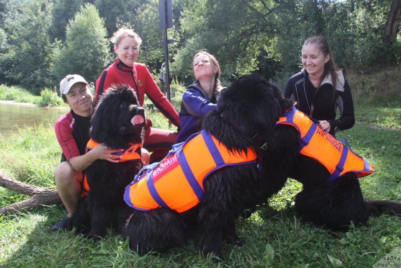 Фотография № 162448