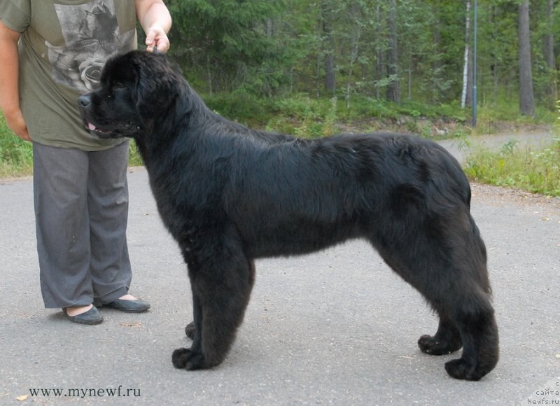 Фотография № 162458