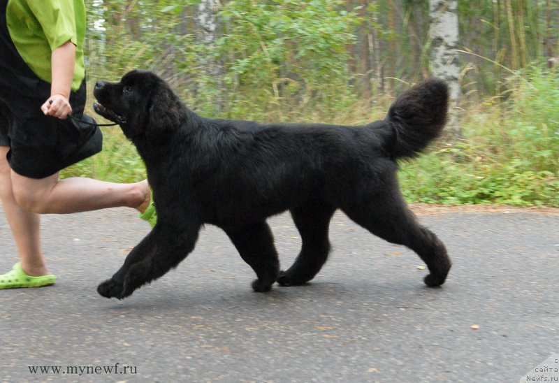 Фотография № 162460