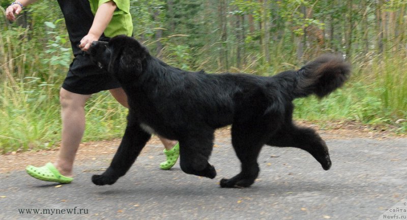 Фотография № 162461